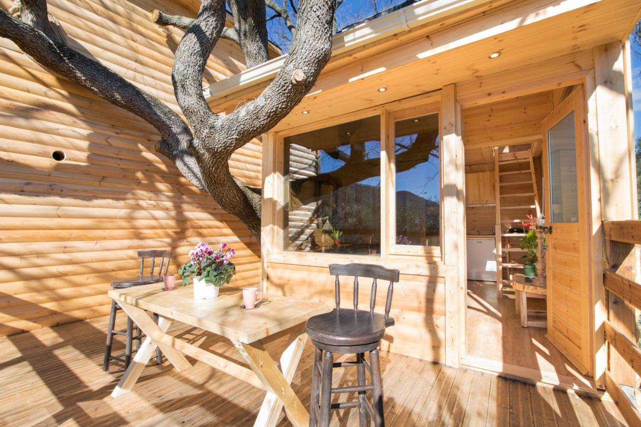 Romantic Tree House Kato Pavliana 외부 사진